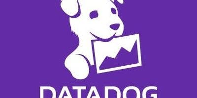 Cover Image for New You = New at Datadog